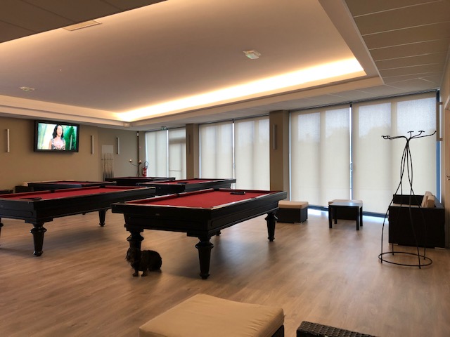 Le billard des 4 vents phalsbourg